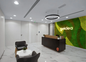 Geidea — thumbnail 4